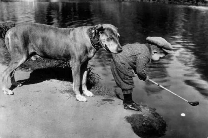 A Dog Holds Onto A Little Boy As He Tries To Retrieve A Ball In A River With His Golf Club. 1920s