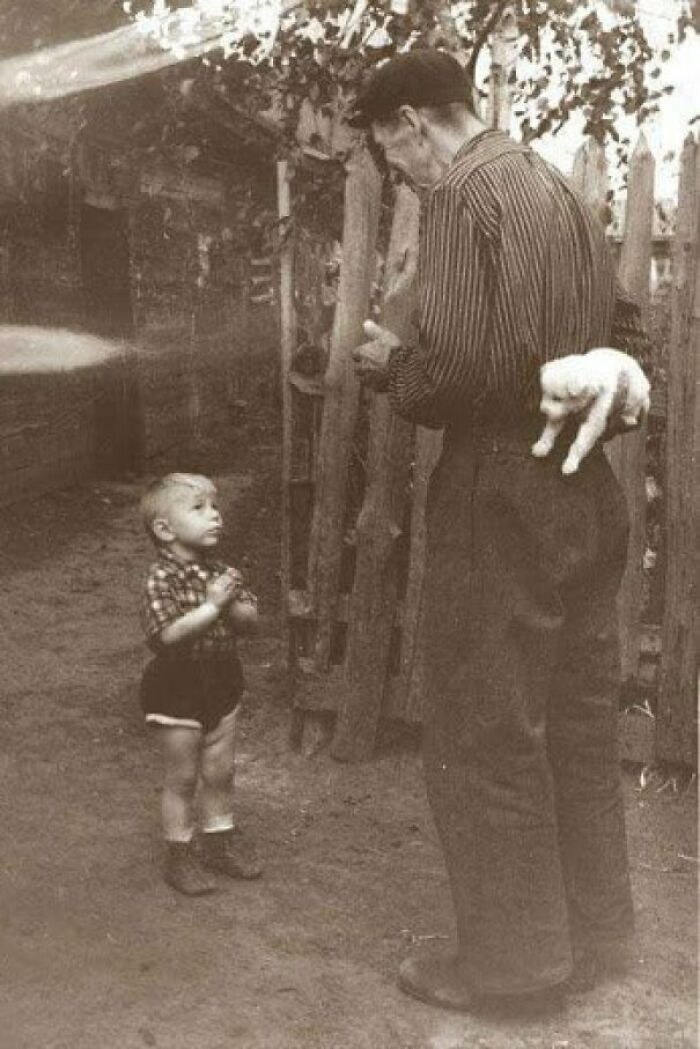 Little Boy About To Receive A Dog For His Birthday (1955)