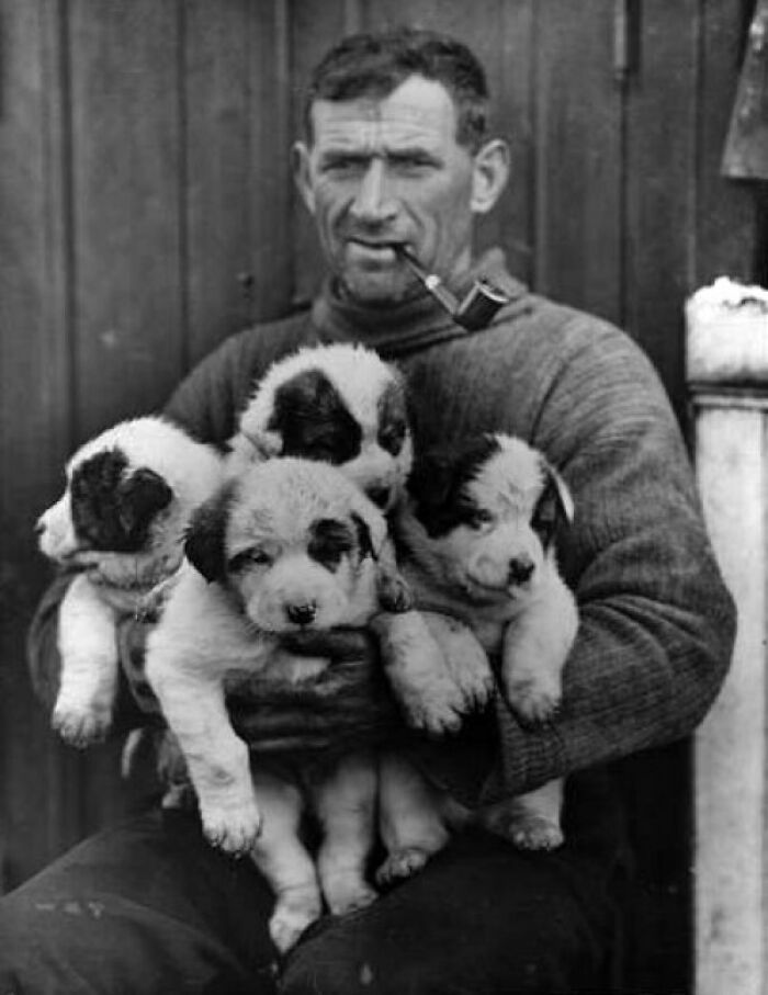 Famous Irish Explorer Tom Crean And Sled Dog Pups (Circa 1890)