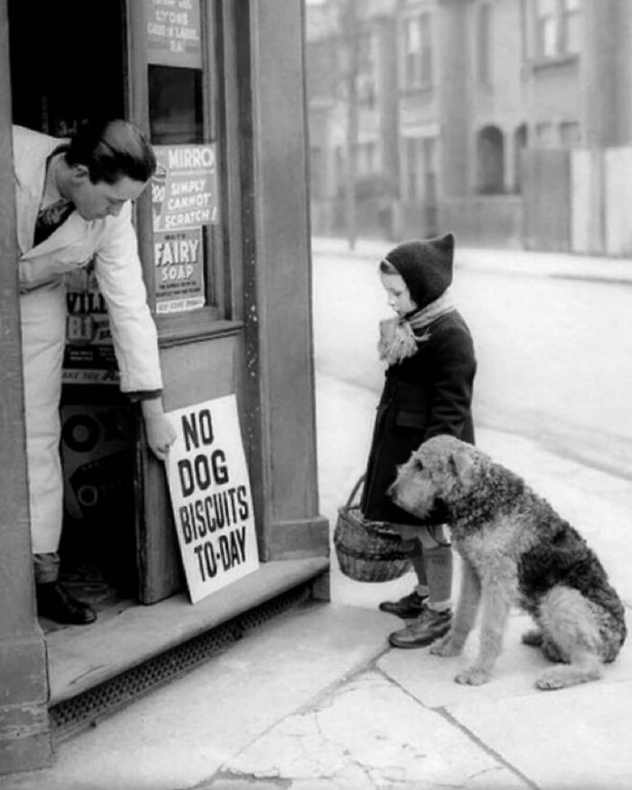 No Dog Biscuits Today, 1939