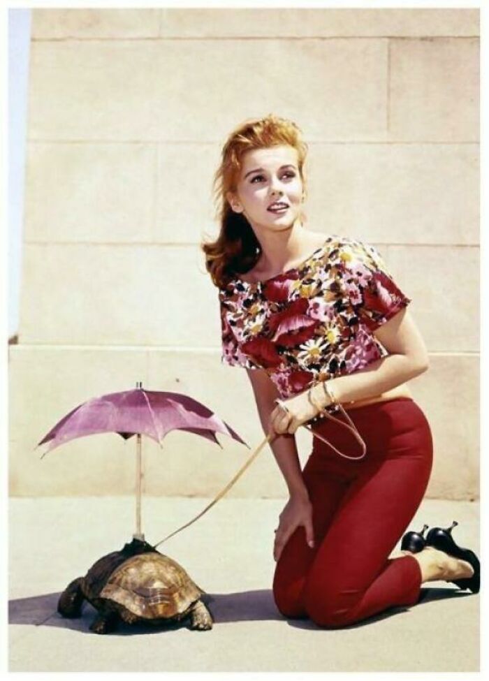 Ann Margret Her Pet Turtle 1960s