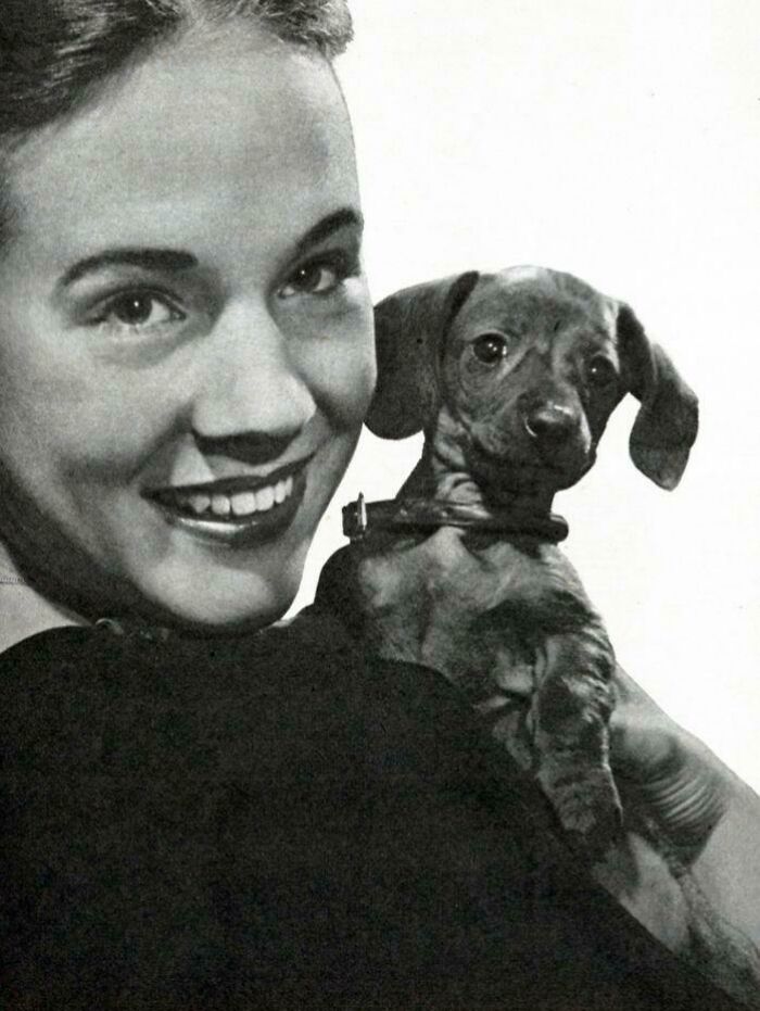 Julie Andrews And Her Pet Dachshund Melody, Circa 1954