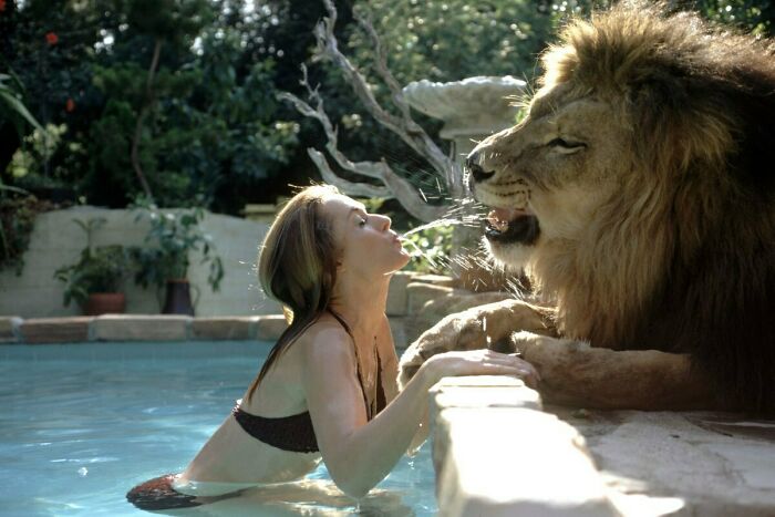 Actress Tippi Hedren And Family At Home With Their 400-Pound Pet Lion, Neil (1971)