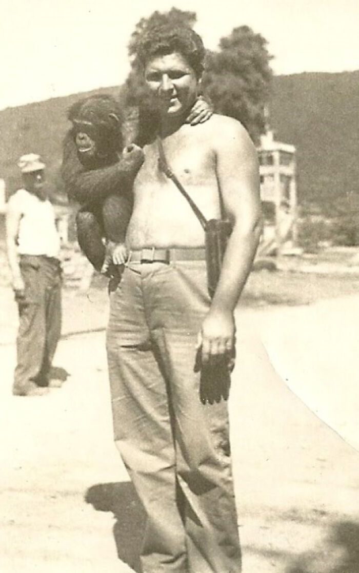 My Grandpa And His Pet Chimp, World War II 1943, North Africa