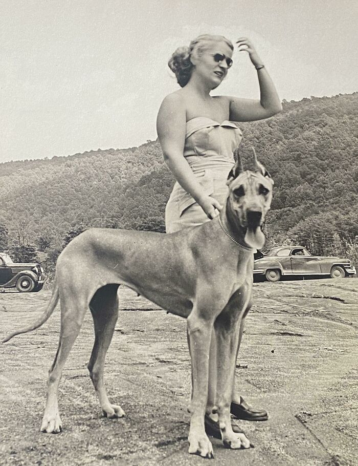 1951: My Grandmother With Her First Of Many Great Danes. Suzie Was A Wedding Gift From My Grandfather’s Aunt