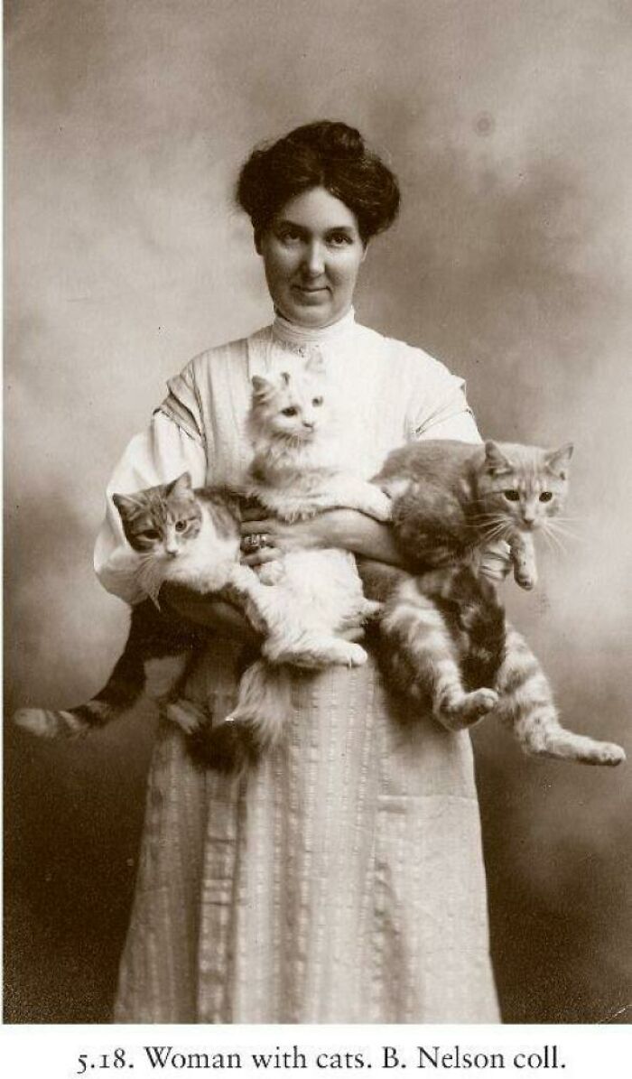 Vintage Cat Lady 1910s