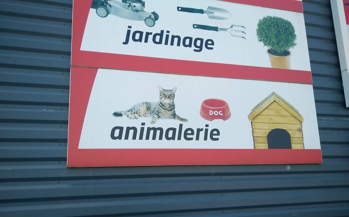 Sign with a cat beside a "DOG" bowl, humorous ad fail.