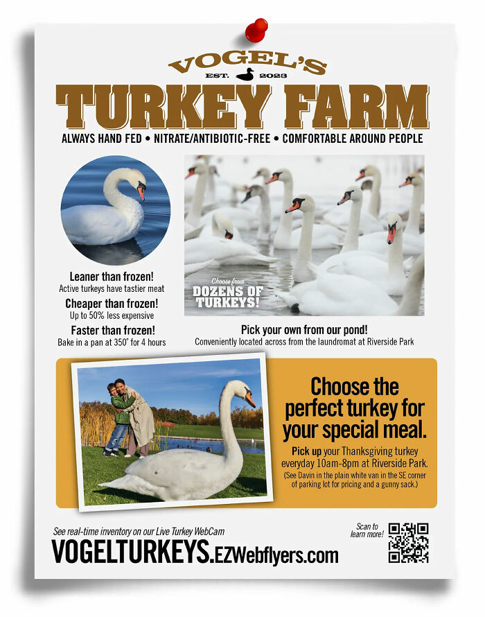 "Prank-O flyer for a fake turkey farm featuring a swan, humorous offer for Thanksgiving turkeys."