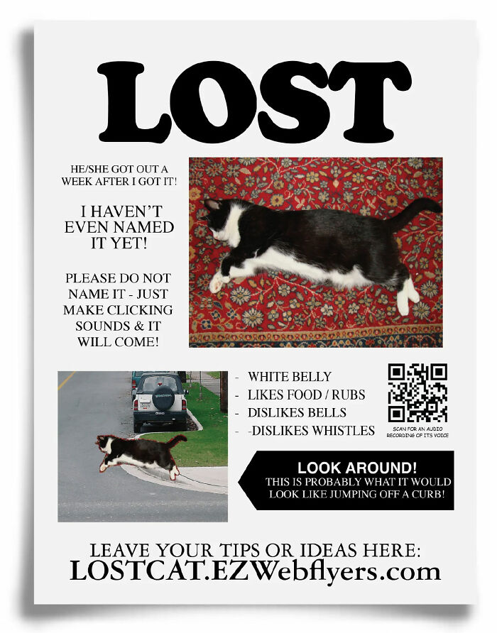 Prank flyer for lost cat with humorous descriptions by Prank-O.