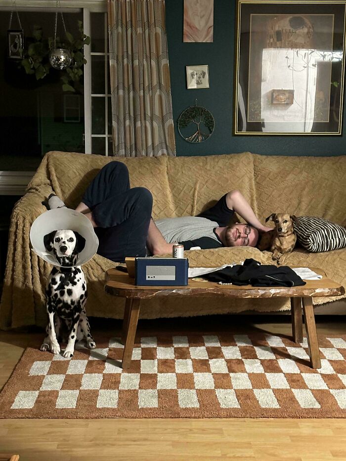 A man lounging on a couch with two dogs, resembling a scene from Renaissance paintings.