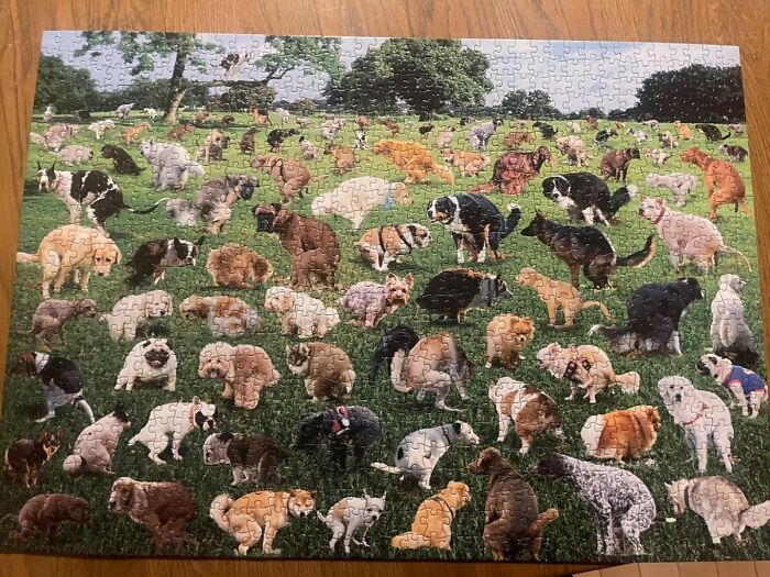 This Pooping Puppies Puzzle Is The Perfect Way To Say "I Love You" And "I Secretly Want To See You Gag" At The Same Time