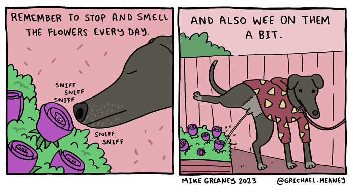 Absurd And Funny Comics By Mike Greaney