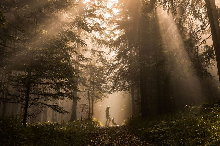 Honorable Mention, Dogs & People: Bonded In The Forest Light By Daniela Schmid