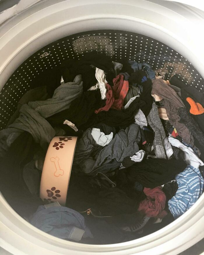 Laundry machine with mixed clothes and a pet bowl inside, highlighting infuriating boyfriends or husbands' habits.