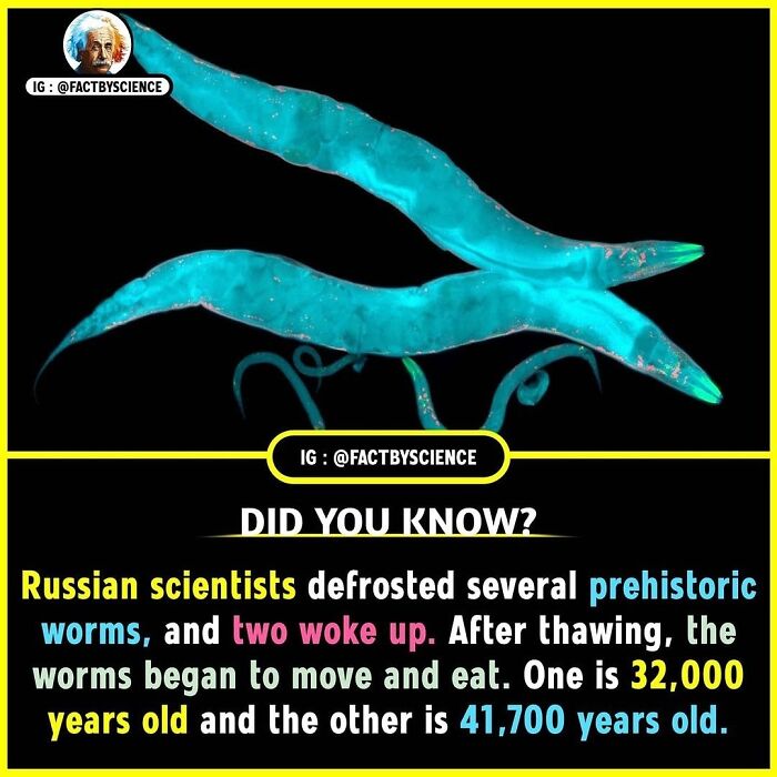 Interesting-Facts-Science