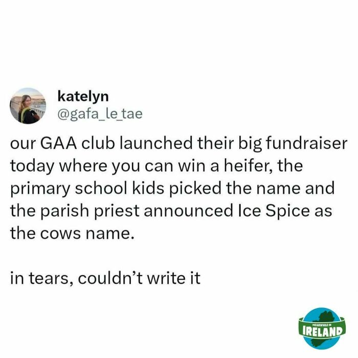 Funny-Meanwhile-In-Ireland-Memes