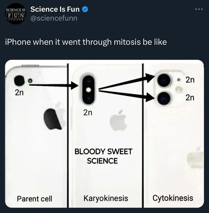 Science-Lovers-Funny-Memes-Sciencefunn