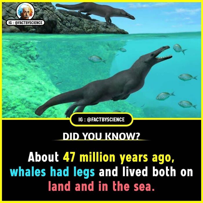 Interesting-Facts-Science