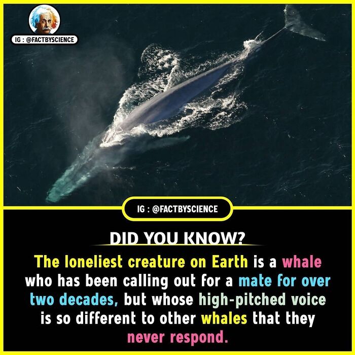 Interesting-Facts-Science