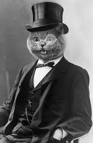 Cat-with-Monocle-Full-Size-6733e6d6d4edf.jpg