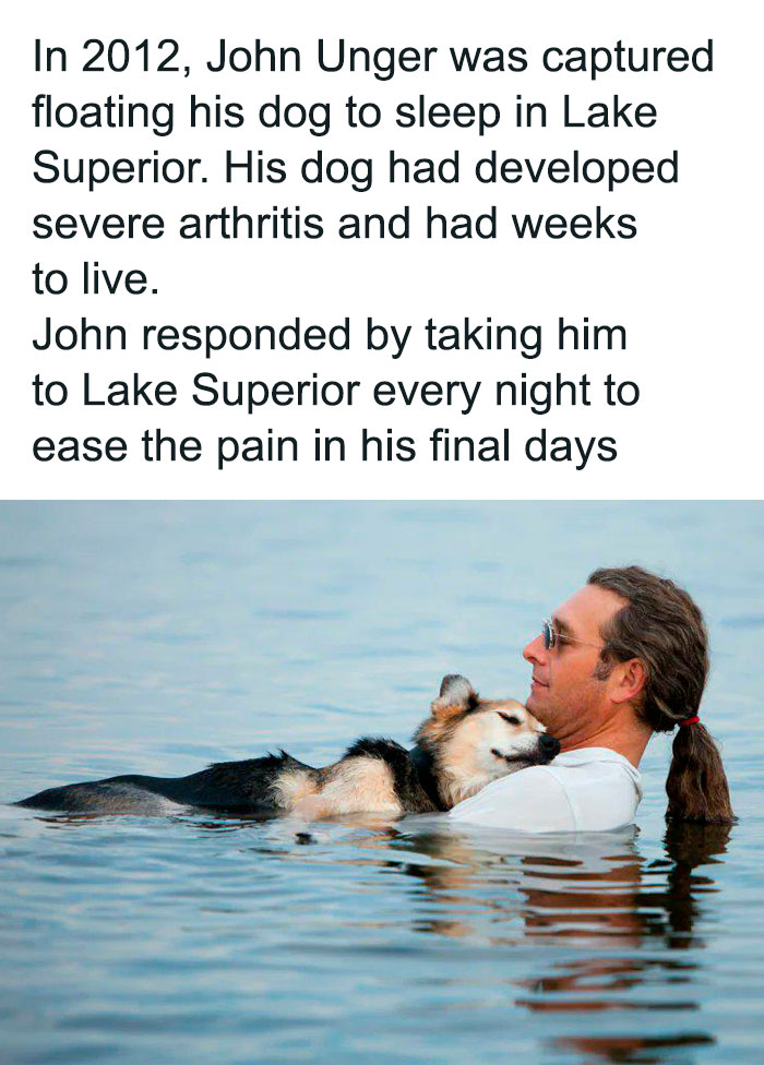 Funny-Wholesome-Dog-Memes