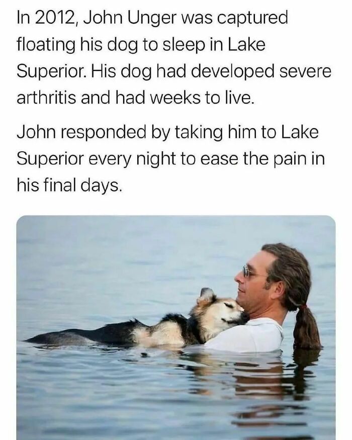 Funny-Wholesome-Dog-Memes