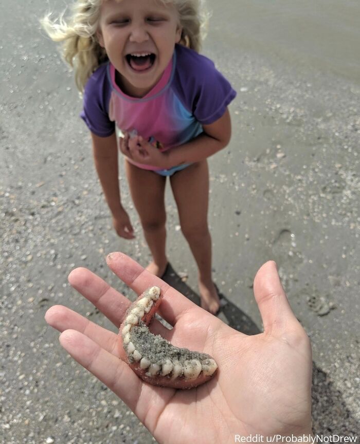 "We Went To The Beach To Find Shark Teeth, So When My Daughter Yelled "I Found Teeth!" This Was The Last Thing I Was Expecting."⁠