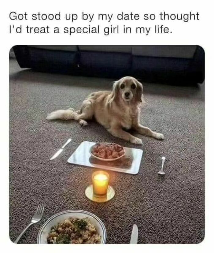 Funny-Wholesome-Dog-Memes