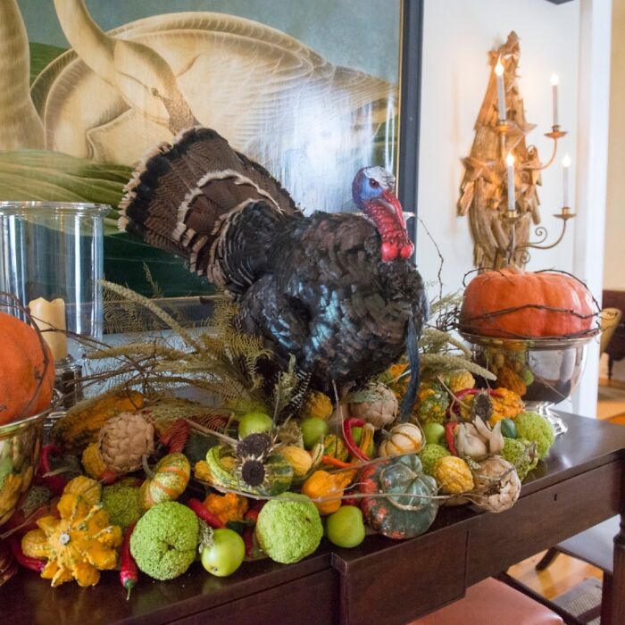 The Sight Of The Stuffed Turkey And Bountiful Pumpkins Sets The Tone For A Season Of Gratitude And Celebration. What Are You Thankful For This Year?