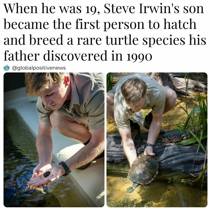 Man caring for turtles in a sanctuary, highlighting uplifting stories in conservation efforts.