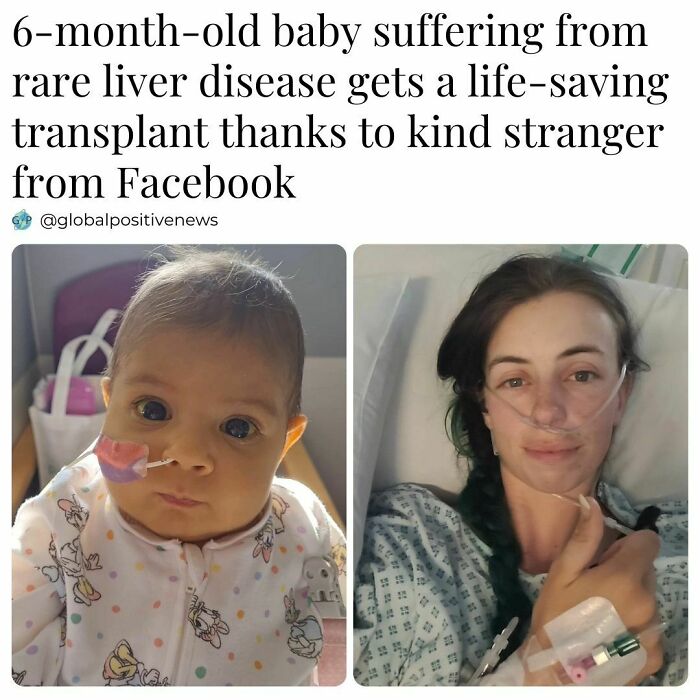 Wholesome-Positive-Global-News-Ig-Pics