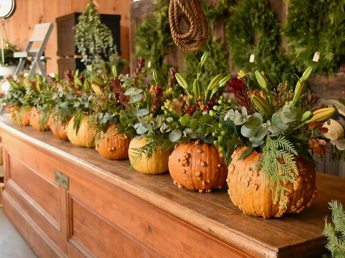 Thanksgiving Is Right Around The Corner, So You Know What That Means… Our Pumpkin Floral Arrangements And Thanksgiving Gift Boxes Are Back