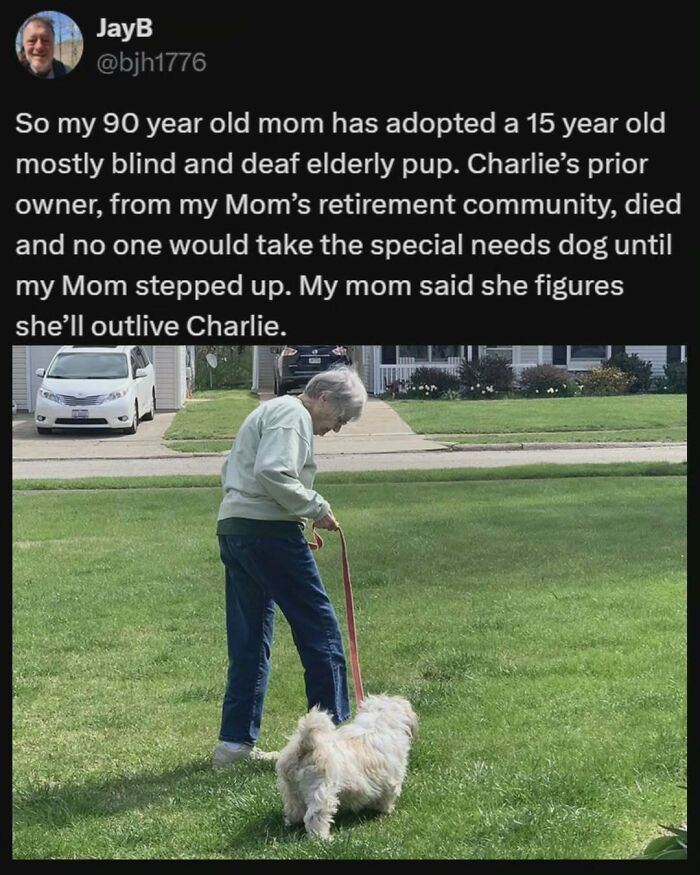 Wholesome-Positive-Global-News-Ig-Pics