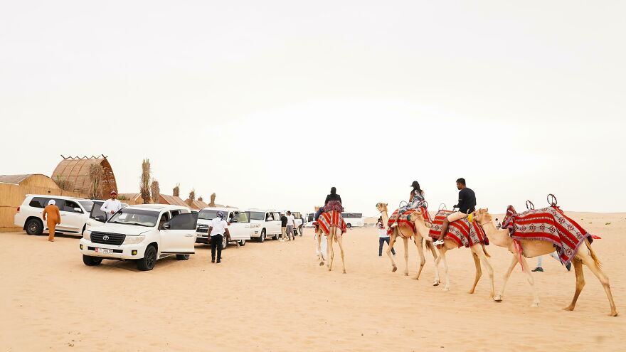 Morning Desert Safari Abu Dhabi