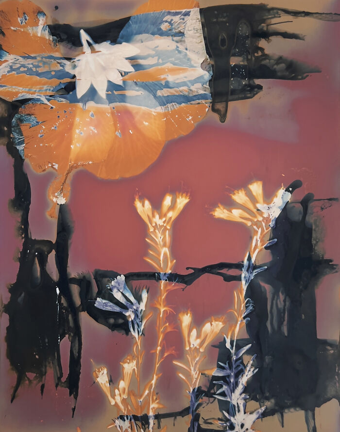 Abstract floral artwork by Carolyn Moore, featuring orange and blue hues on a dark backdrop.