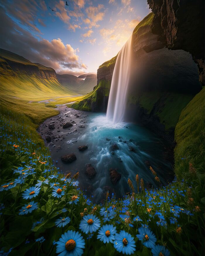 Dreamscapes Of Nature: The Enchanting Photography Of Daniel Greenwood