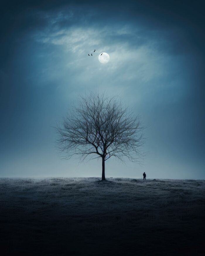 Dreamscapes Of Nature: The Enchanting Photography Of Daniel Greenwood