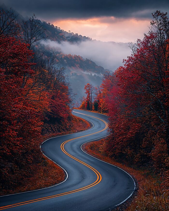 Dreamscapes Of Nature: The Enchanting Photography Of Daniel Greenwood