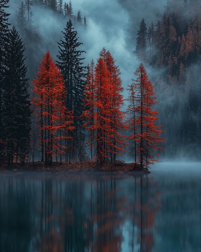 Dreamscapes Of Nature: The Enchanting Photography Of Daniel Greenwood