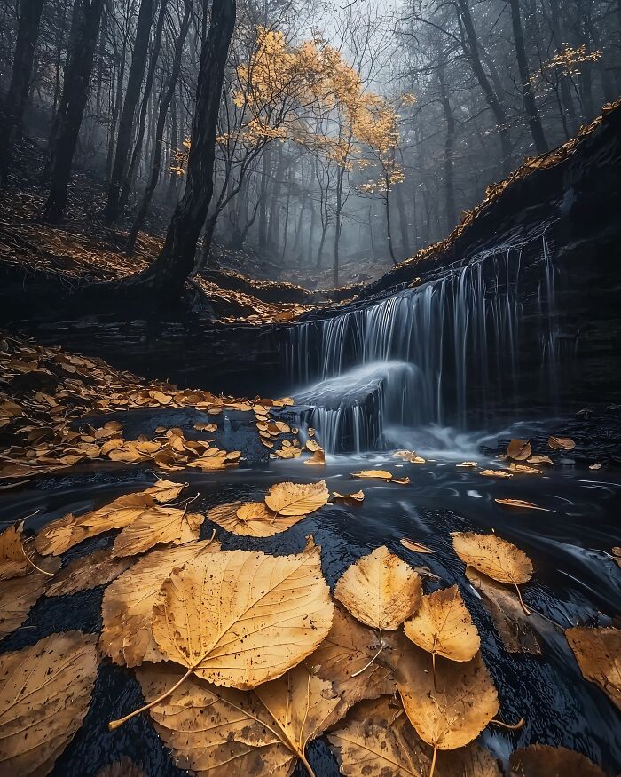 Dreamscapes Of Nature: The Enchanting Photography Of Daniel Greenwood