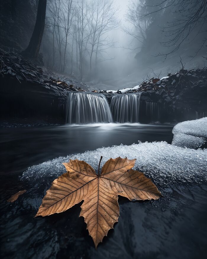 Dreamscapes Of Nature: The Enchanting Photography Of Daniel Greenwood