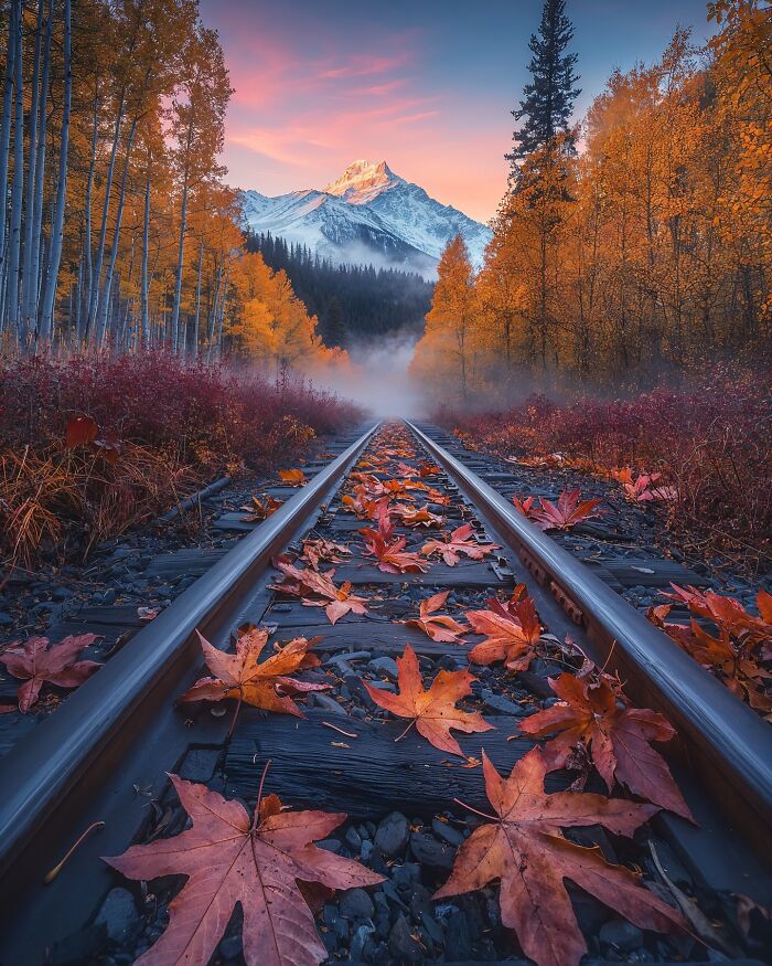 Dreamscapes Of Nature: The Enchanting Photography Of Daniel Greenwood