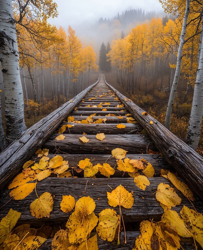 Dreamscapes Of Nature: The Enchanting Photography Of Daniel Greenwood