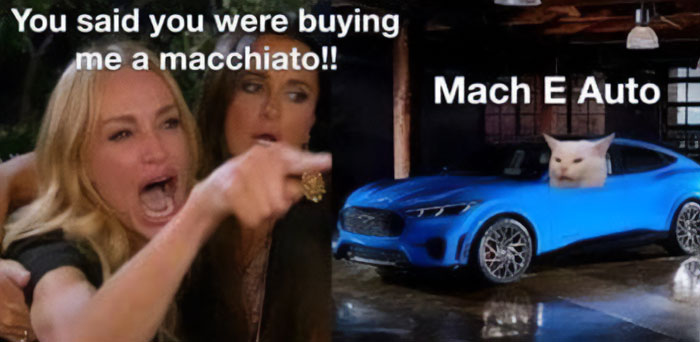 An E meme with a woman pointing angrily at a blue car with a cat's face, labeled "Mach E Auto," humorously depicting an electric future.