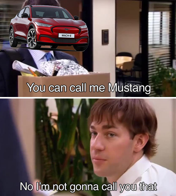 An E meme featuring a red electric car over a character's head, humorously relating to electric future.