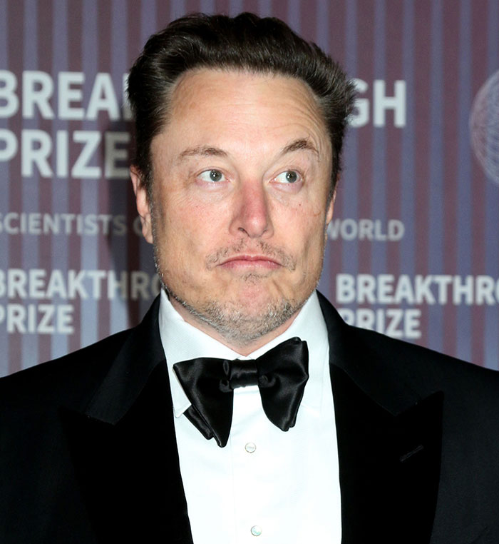 Elon Musk Stuns Fans With Wild Claim He's "3,000 Year Old Time-Travelling Alien" With Weird Photo