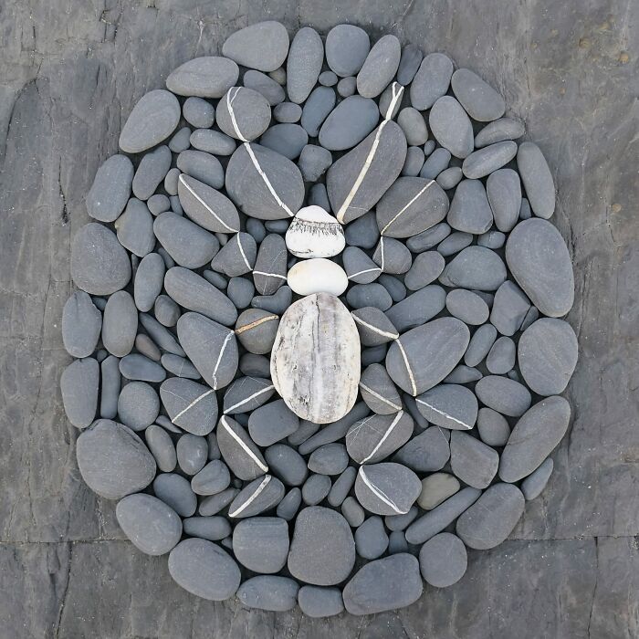 Petrified Beetle - Grey And White Beech Pebbles And Pebbles With Natural Quartz Veins