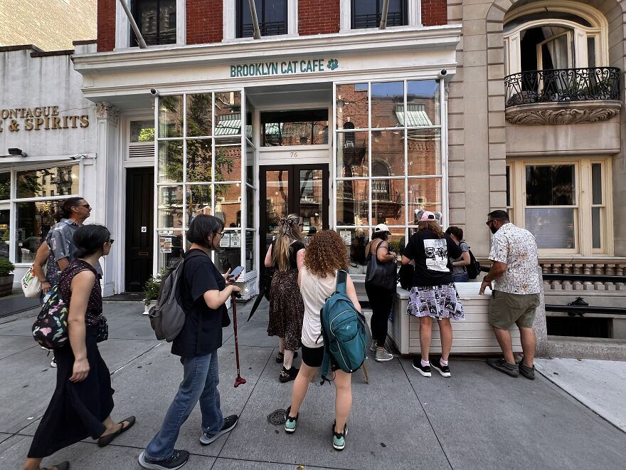 These Cats Were Wall Street Legends Before It Was Cool: NYC's New Walking Tour Will Make You Say 'Aww' And 'Wow'