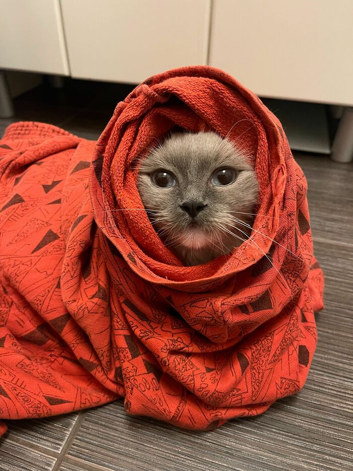 Babushka