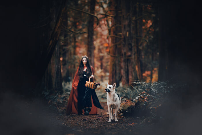 I Photographed A Fairytale-Inspired, Witchy Dog Session Inspired By Red Riding Hood (15 Pics)